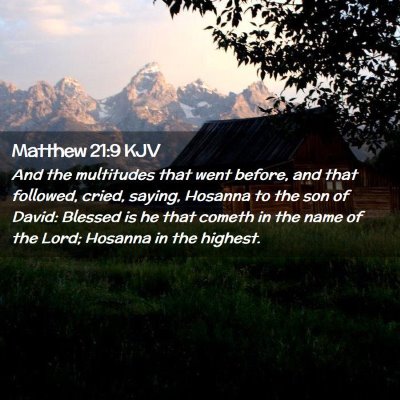 Picture 02 - Matthew 21:9 KJV - And the multitudes that went before, and that - Bible Verse Picture