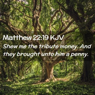 Picture 02 - Matthew 22:19 KJV - Shew me the tribute money. And they brought unto - Bible Verse Picture