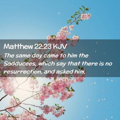 Picture 02 - Matthew 22:23 KJV - The same day came to him the Sadducees, which say - Bible Verse Picture
