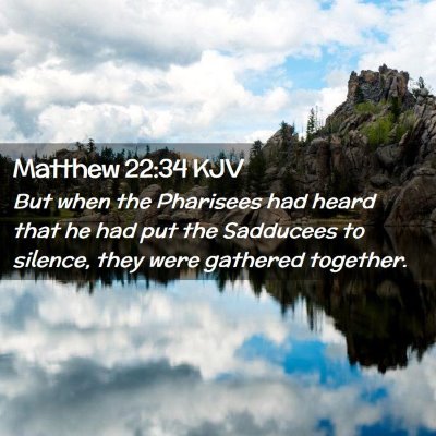 Picture 02 - Matthew 22:34 KJV - But when the Pharisees had heard that he had put - Bible Verse Picture