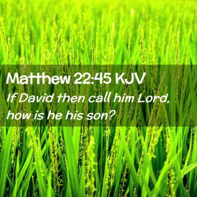 Picture 02 - Matthew 22:45 KJV - If David then call him Lord, how is he his - Bible Verse Picture