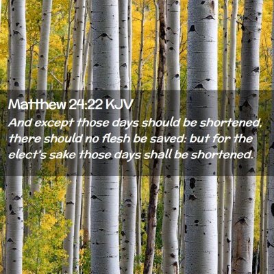 Picture 02 - Matthew 24:22 KJV - And except those days should be shortened, there - Bible Verse Picture