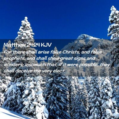 Picture 02 - Matthew 24:24 KJV - For there shall arise false Christs, and false - Bible Verse Picture