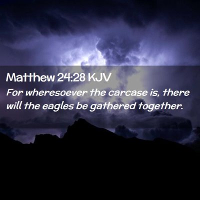 Picture 02 - Matthew 24:28 KJV - For wheresoever the carcase is, there will the - Bible Verse Picture