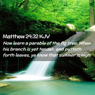 Picture 02 - Matthew 24:32 KJV - Now learn a parable of the fig tree; When his - Bible Verse Picture