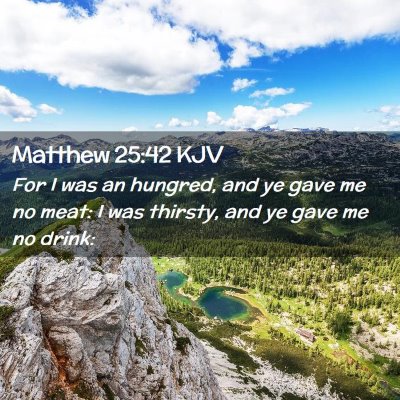 Picture 02 - Matthew 25:42 KJV - For I was an hungred, and ye gave me no meat: I - Bible Verse Picture