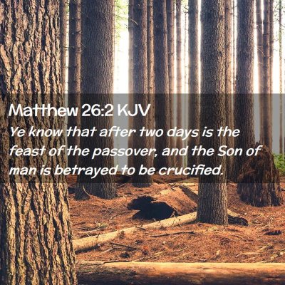 Picture 02 - Matthew 26:2 KJV - Ye know that after two days is the feast of the - Bible Verse Picture