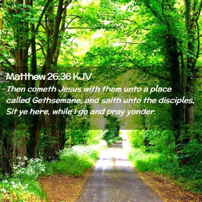 Picture 02 - Matthew 26:36 KJV - Then cometh Jesus with them unto a place called - Bible Verse Picture
