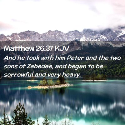 Picture 02 - Matthew 26:37 KJV - And he took with him Peter and the two sons of - Bible Verse Picture