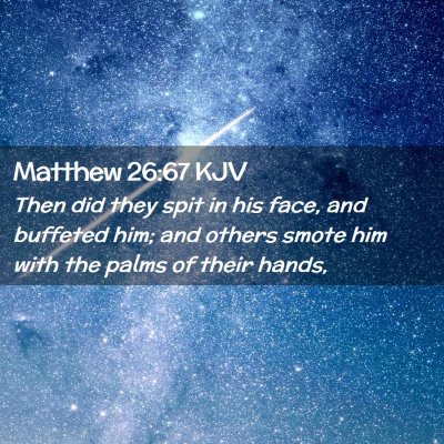 Picture 02 - Matthew 26:67 KJV - Then did they spit in his face, and buffeted him; - Bible Verse Picture
