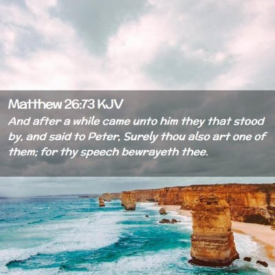 Picture 02 - Matthew 26:73 KJV - And after a while came unto him they that stood - Bible Verse Picture