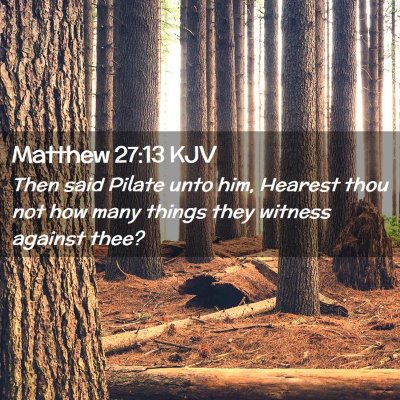 Picture 02 - Matthew 27:13 KJV - Then said Pilate unto him, Hearest thou not how - Bible Verse Picture