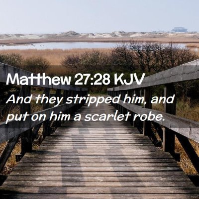 Picture 02 - Matthew 27:28 KJV - And they stripped him, and put on him a scarlet - Bible Verse Picture