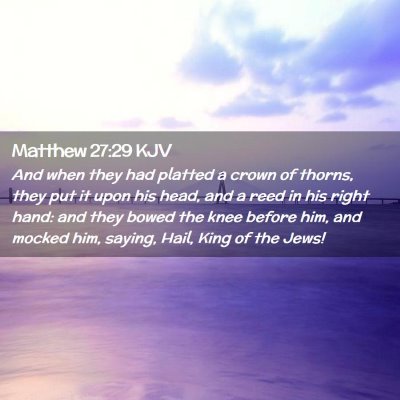 Picture 02 - Matthew 27:29 KJV - And when they had platted a crown of thorns, they - Bible Verse Picture
