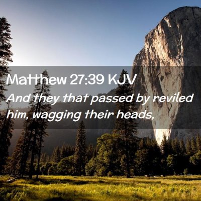 Picture 02 - Matthew 27:39 KJV - And they that passed by reviled him, wagging - Bible Verse Picture