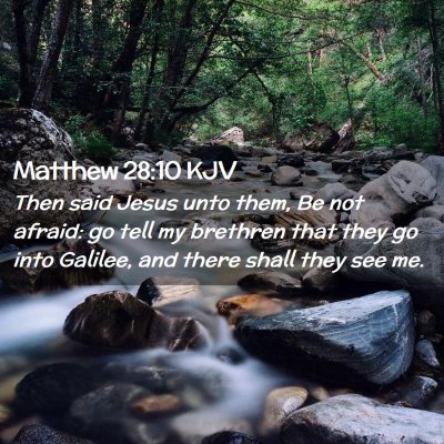 Picture 02 - Matthew 28:10 KJV - Then said Jesus unto them, Be not afraid: go tell - Bible Verse Picture
