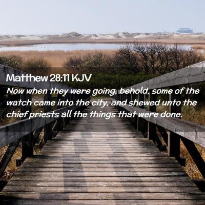 Picture 02 - Matthew 28:11 KJV - Now when they were going, behold, some of the - Bible Verse Picture