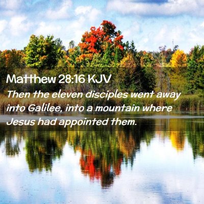 Picture 02 - Matthew 28:16 KJV - Then the eleven disciples went away into Galilee, - Bible Verse Picture