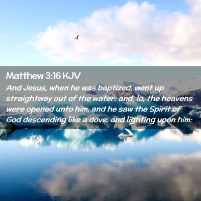 Picture 02 - Matthew 3:16 KJV - And Jesus, when he was baptized, went up - Bible Verse Picture