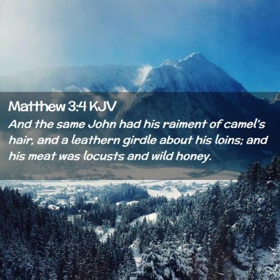 Picture 02 - Matthew 3:4 KJV - And the same John had his raiment of camel's - Bible Verse Picture