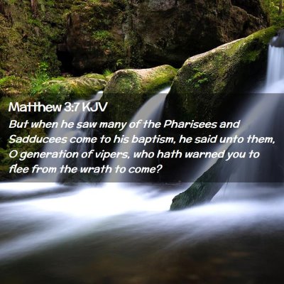 Picture 02 - Matthew 3:7 KJV - But when he saw many of the Pharisees and - Bible Verse Picture
