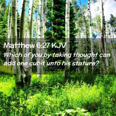 Picture 02 - Matthew 6:27 KJV - Which of you by taking thought can add one cubit - Bible Verse Picture