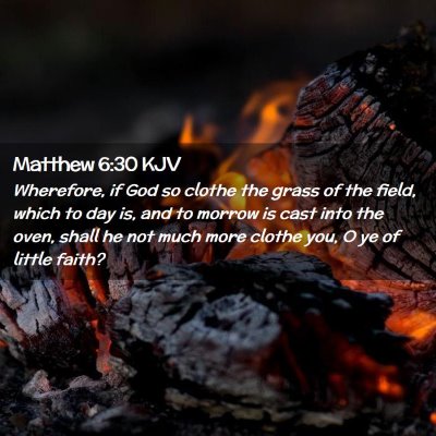 Picture 02 - Matthew 6:30 KJV - Wherefore, if God so clothe the grass of the - Bible Verse Picture