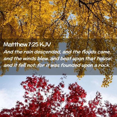 Picture 02 - Matthew 7:25 KJV - And the rain descended, and the floods came, and - Bible Verse Picture
