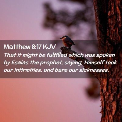 Picture 02 - Matthew 8:17 KJV - That it might be fulfilled which was spoken by - Bible Verse Picture