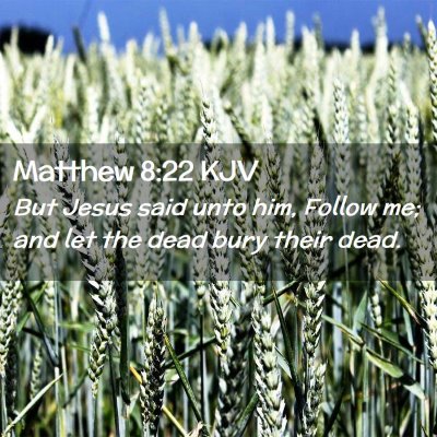 Picture 02 - Matthew 8:22 KJV - But Jesus said unto him, Follow me; and let the - Bible Verse Picture