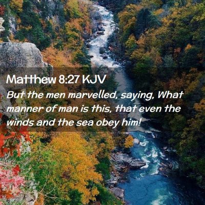 Picture 02 - Matthew 8:27 KJV - But the men marvelled, saying, What manner of man - Bible Verse Picture