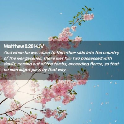 Picture 02 - Matthew 8:28 KJV - And when he was come to the other side into the - Bible Verse Picture