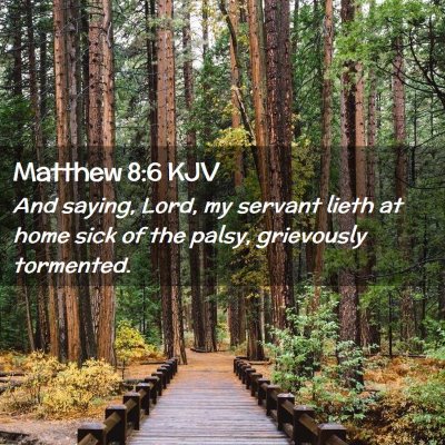 Picture 02 - Matthew 8:6 KJV - And saying, Lord, my servant lieth at home sick - Bible Verse Picture