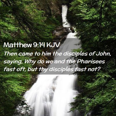 Picture 02 - Matthew 9:14 KJV - Then came to him the disciples of John, saying, - Bible Verse Picture