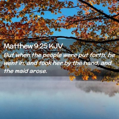 Picture 02 - Matthew 9:25 KJV - But when the people were put forth, he went in, - Bible Verse Picture