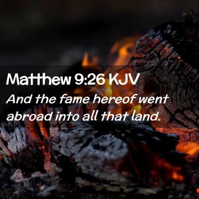 Picture 02 - Matthew 9:26 KJV - And the fame hereof went abroad into all that - Bible Verse Picture