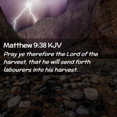 Picture 02 - Matthew 9:38 KJV - Pray ye therefore the Lord of the harvest, that - Bible Verse Picture