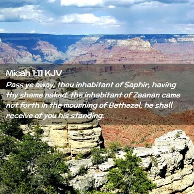 Picture 02 - Micah 1:11 KJV - Pass ye away, thou inhabitant of Saphir, having - Bible Verse Picture