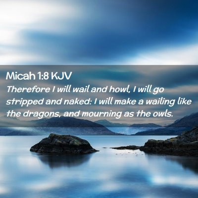 Picture 02 - Micah 1:8 KJV - Therefore I will wail and howl, I will go - Bible Verse Picture