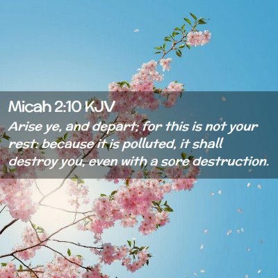 Picture 02 - Micah 2:10 KJV - Arise ye, and depart; for this is not your rest: - Bible Verse Picture