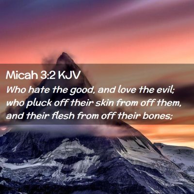 Picture 02 - Micah 3:2 KJV - Who hate the good, and love the evil; who pluck - Bible Verse Picture