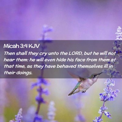 Picture 02 - Micah 3:4 KJV - Then shall they cry unto the LORD, but he will - Bible Verse Picture
