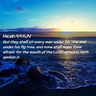 Picture 02 - Micah 4:4 KJV - But they shall sit every man under his vine and - Bible Verse Picture