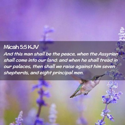 Picture 02 - Micah 5:5 KJV - And this man shall be the peace, when the - Bible Verse Picture
