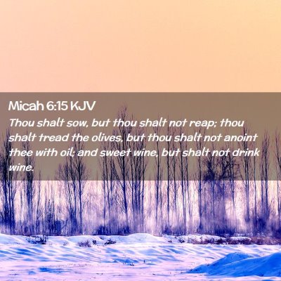 Picture 02 - Micah 6:15 KJV - Thou shalt sow, but thou shalt not reap; thou - Bible Verse Picture