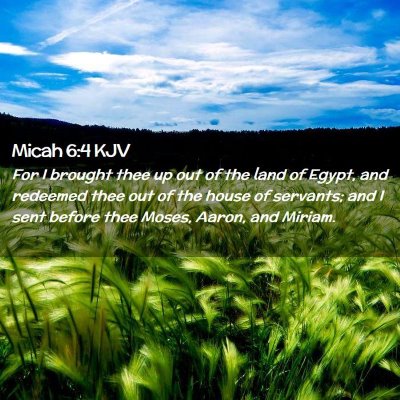 Picture 02 - Micah 6:4 KJV - For I brought thee up out of the land of Egypt, - Bible Verse Picture