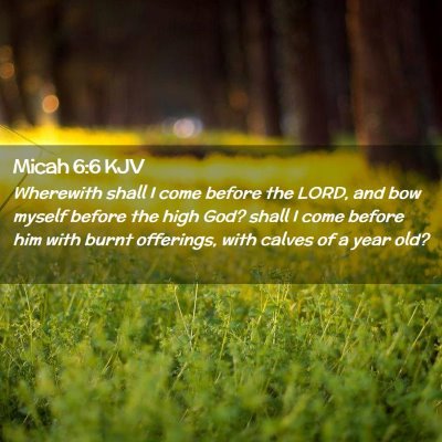 Picture 02 - Micah 6:6 KJV - Wherewith shall I come before the LORD, and bow - Bible Verse Picture