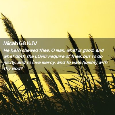 Picture 02 - Micah 6:8 KJV - He hath shewed thee, O man, what is good; and - Bible Verse Picture