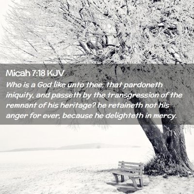 Picture 02 - Micah 7:18 KJV - Who is a God like unto thee, that pardoneth - Bible Verse Picture