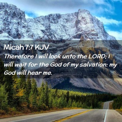 Picture 02 - Micah 7:7 KJV - Therefore I will look unto the LORD; I will wait - Bible Verse Picture